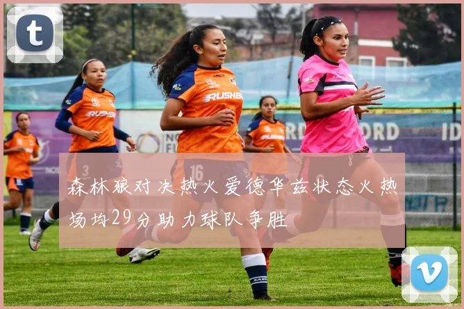 森林狼对决热火爱德华兹状态火热场均29分助力球队争胜